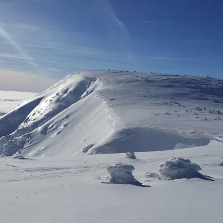 Apartmán Medvědín 306 *