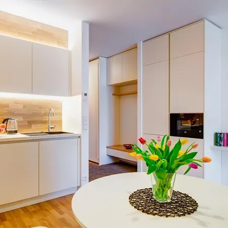 Apartament Medvedin 306 Szpindlerowy Młyn