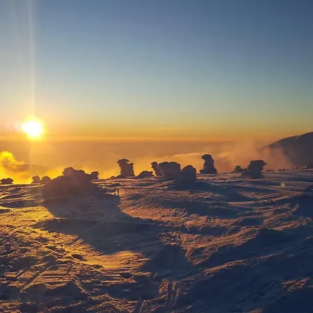 Medvedin 306 Daire *