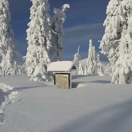 Medvedin 306 Apartament