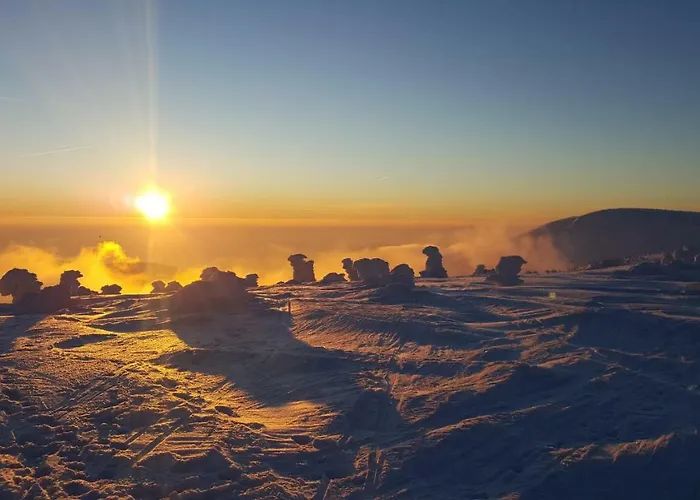 Medvedin 306 Appartement *