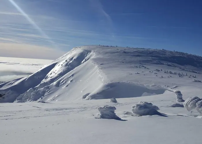 Appartement Medvedin 306 *